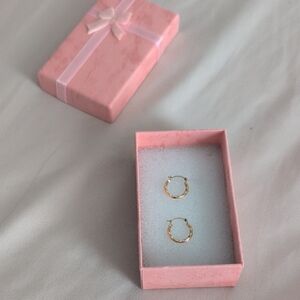 Elegant Gold Hoop Earrings